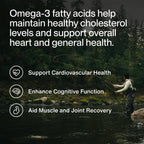 Momentous Omega-3 Fish Oil, EPA & DHA Supplement, No Aftertaste, 1,600mg | Supports Heart, Joint, & Brain Health, Mercury Tested, NSF Certified for Sport, Non-GMO & Gluten-Free (30 Servings)