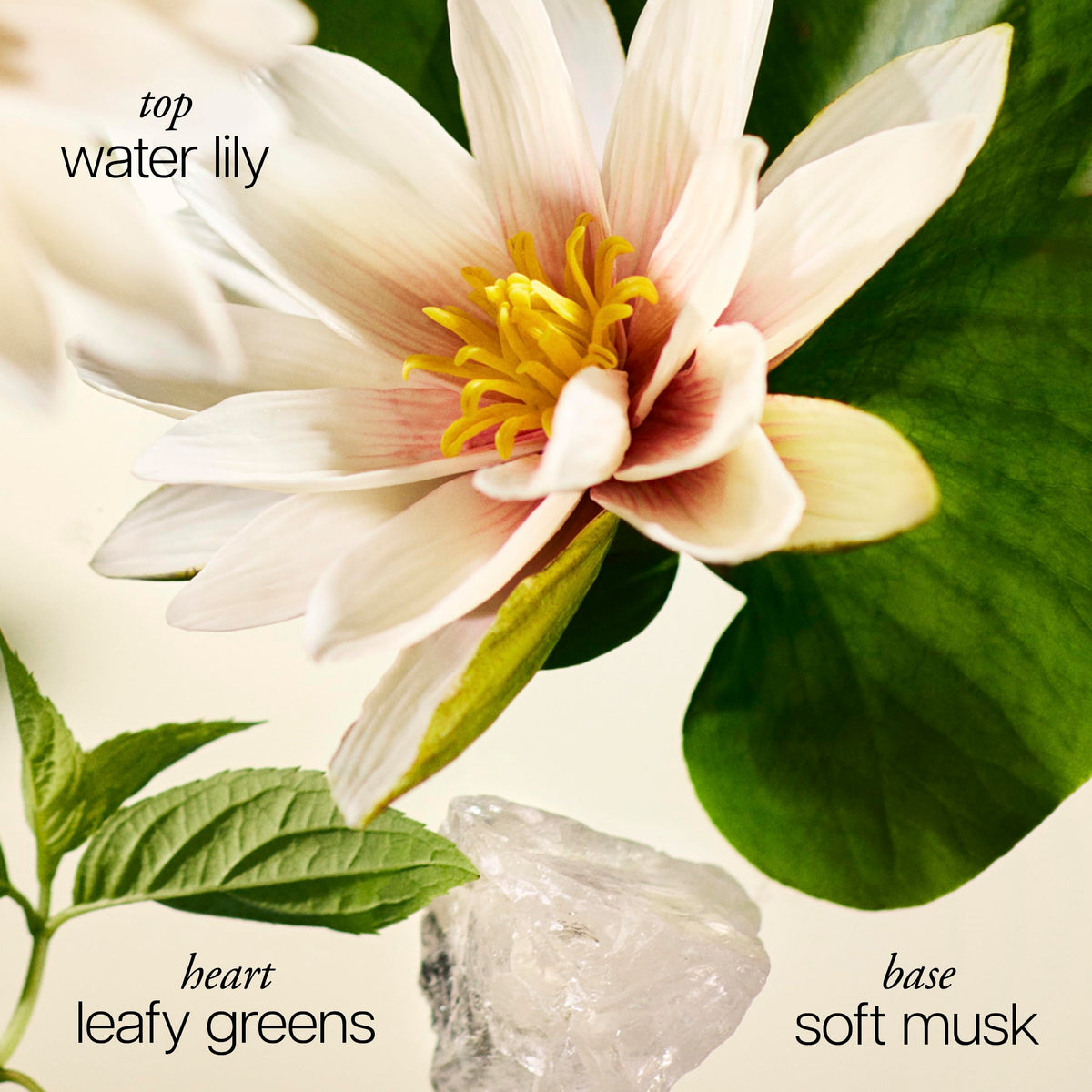 philosophy pure grace eau de parfum - crisp & clean women's perfume - with notes of water lily, leafy greens & musk - long lasting fragrance - 2 fl oz