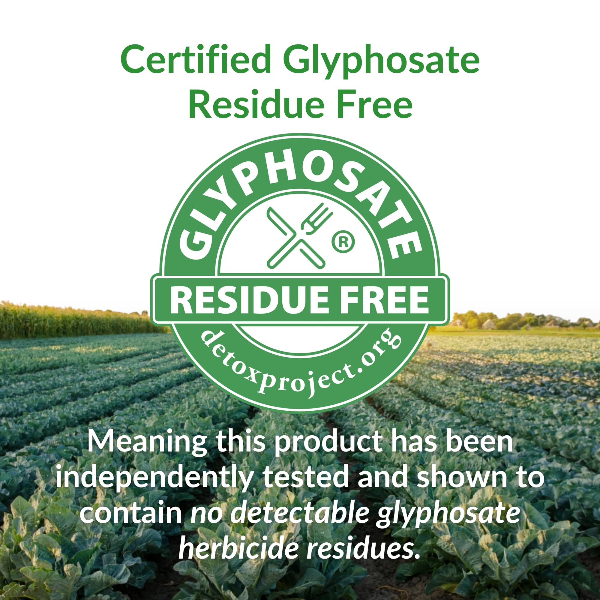 BrocElite Mara Labs Plus | Stabilized Broccoli Sulforaphane Supplement | Glyphosate Residue Free Certified – Third-Party Tested | 60 Vegan Capsules