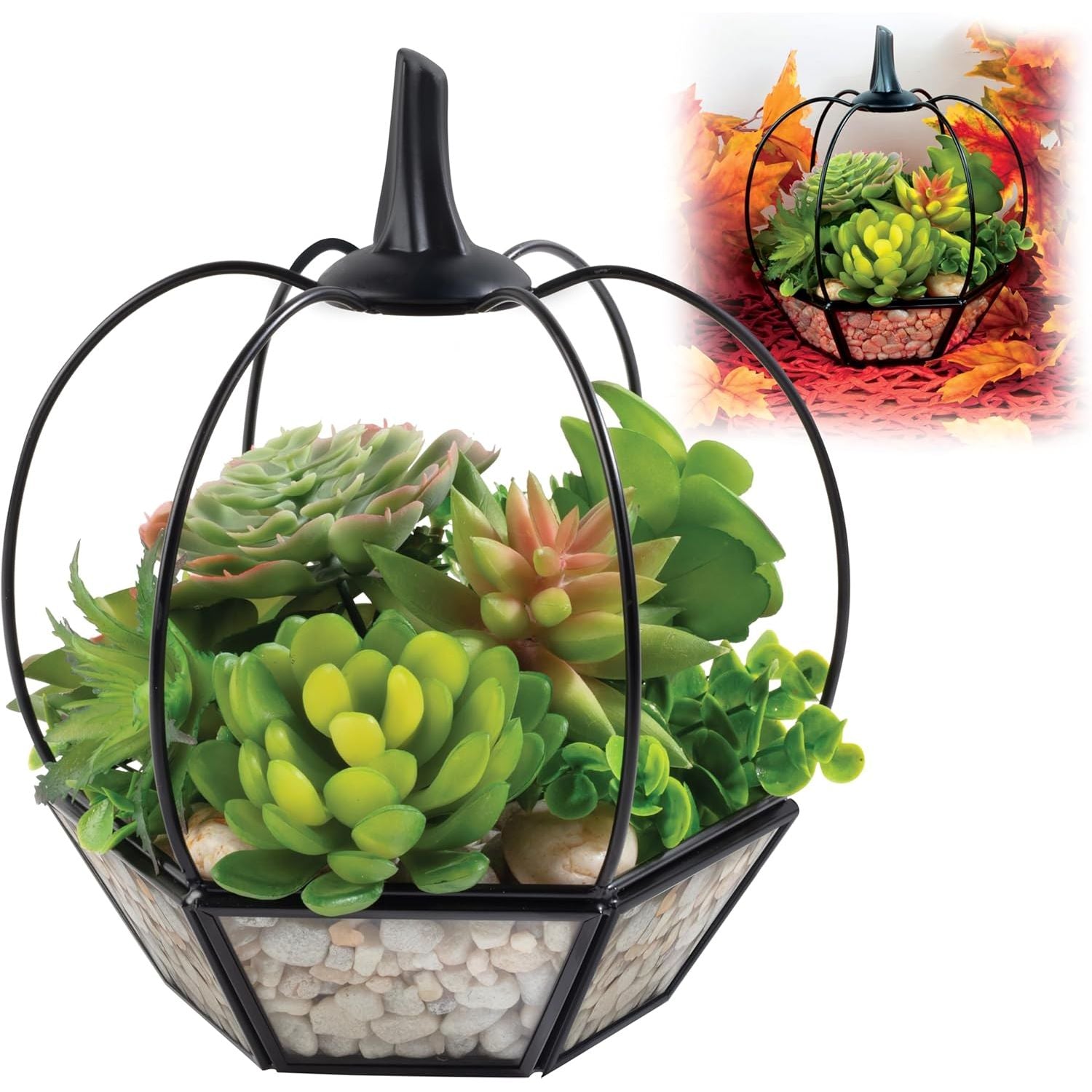 Buy now Christmas Tree Glass Terrarium- 8" Festive Planter for Holiday Home Decor- Add Xmas Cheer w DIY Succulents, Lights & Ornaments- Tabletop Centerpiece or Mantel, Office Decorations- Plant Lovers Gift Pumpkin at indiglob india