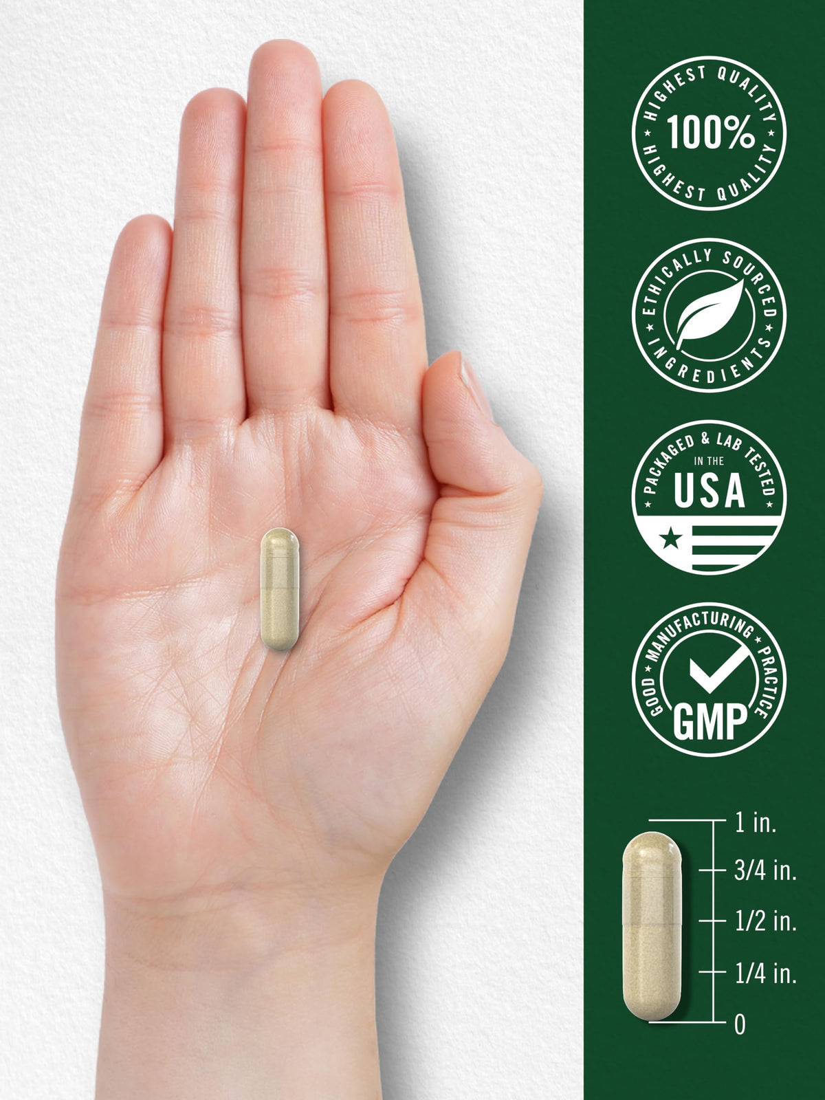 Carlyle Maca Root Capsules for Women & Men | 180 Count