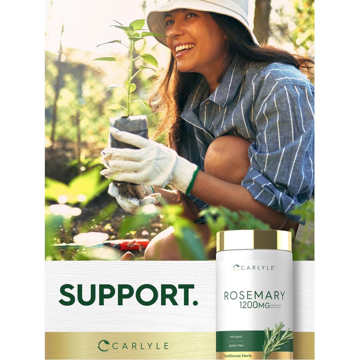 Carlyle Rosemary Capsules | 200 Count | Non-GMO & Gluten Free Extract