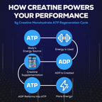 Creatine Gummies, 8-in-1 Complex with Taurine & Electrolytes