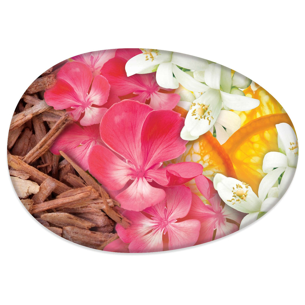 Buy now Caress Beauty Bar Soap For Women, Daily Silk With Silk Extract and Floral Oil Essence Moisturizing Body Soap for Silky, Soft Skin, 3.75 oz, 2 Bath Bars at indiglob india