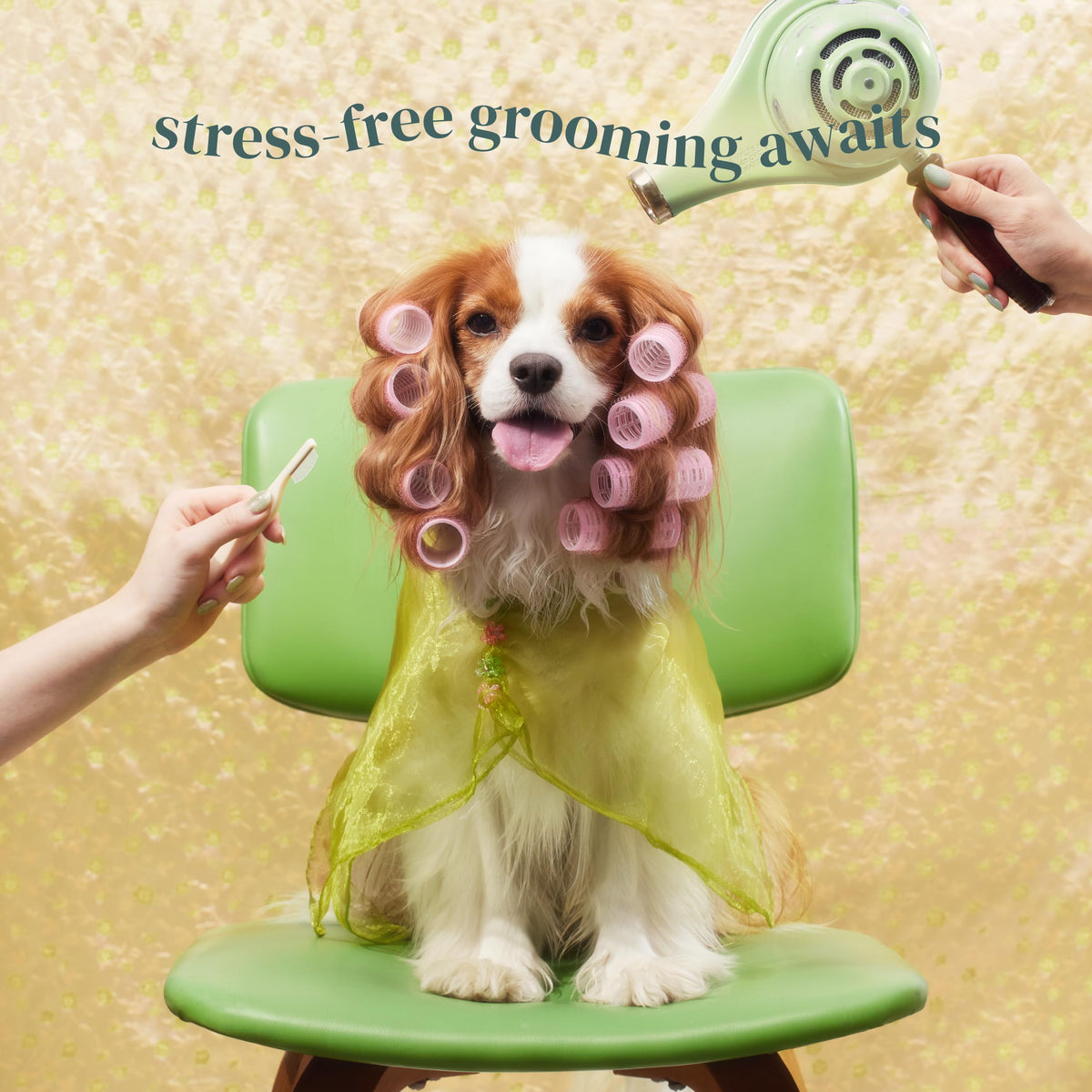 Petora BRUSH ON ME Facial & Eye Comb for Dogs & Cats
