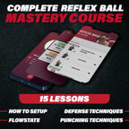 Buy now Champs MMA Boxing Reflex Ball Set with Punch Counter App | 4 Balls with Varying Weights, Headband & 4 Spare Strings to Improve Speed, Hand Eye Coordination Training | Boxing Equipment, MMA Gear Gift at indiglob india