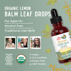 MARYRUTH'S Organic Lemon Balm Leaf Liquid Extract, Mood Support, 1 Fl Oz