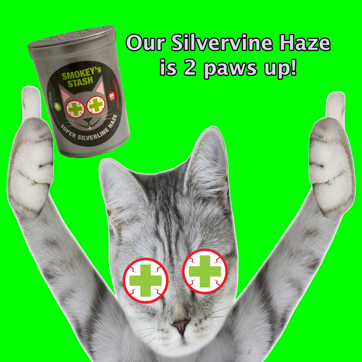 Smokey's Stash Silvervine Haze Potent Catnip and Silver Vine Blend for Cats