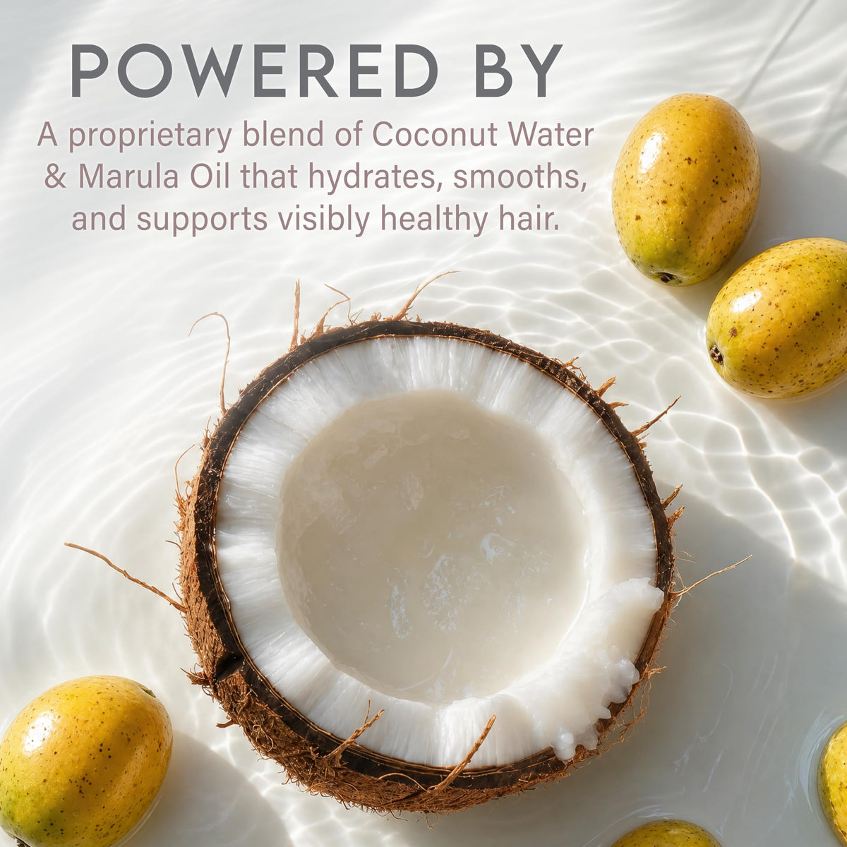 ALURAM Coconut Water Smoothing Cream, Frizz-Free Shine for All Hair Types, 6 Fl Oz
