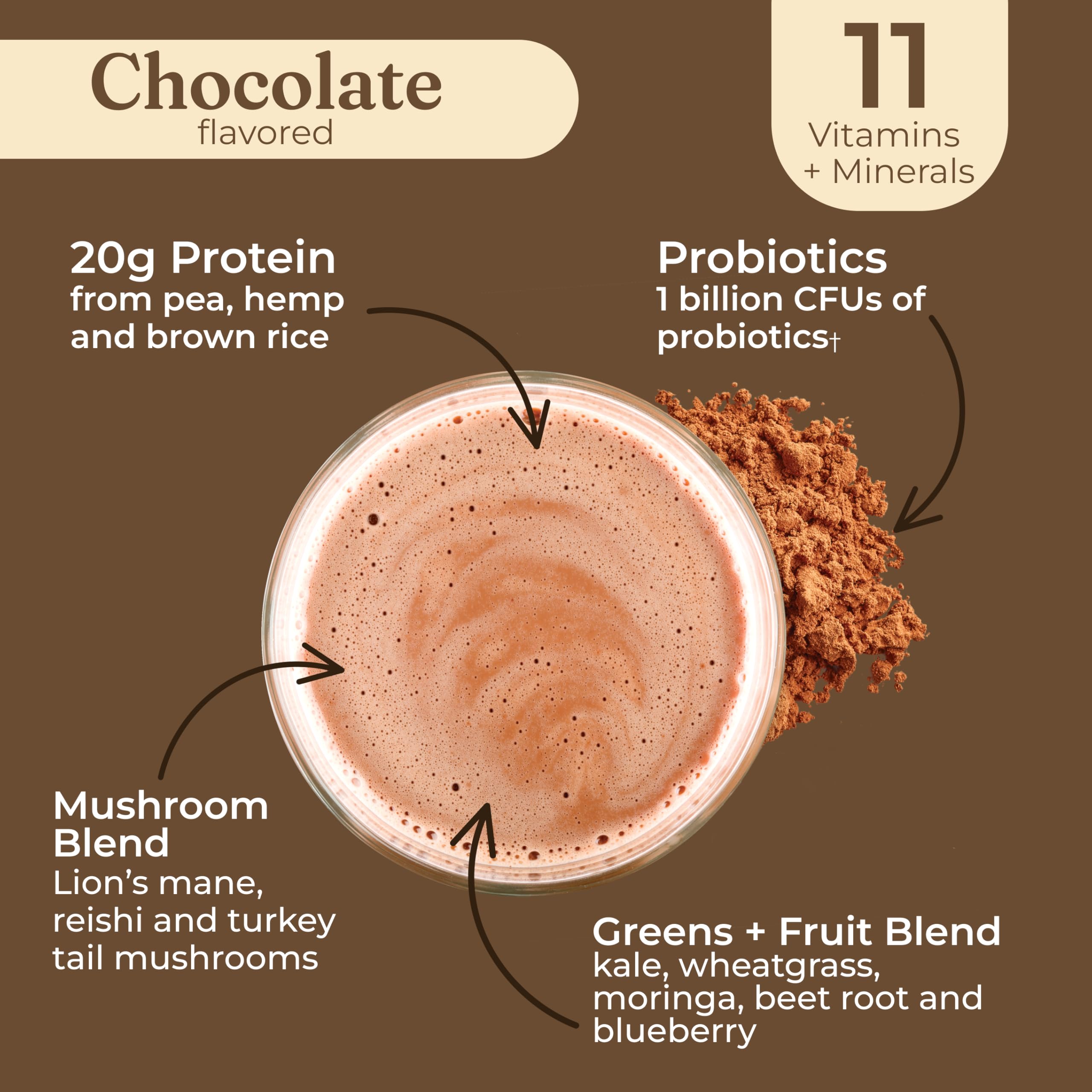 Four Sigmatic Organic Plant-Based Protein Powder | Clean Vegan Protein Elevated with Lion’s Mane, Chaga, Cordyceps and More for Brain Function and Immune Support | Creamy Cacao, 21.16 oz