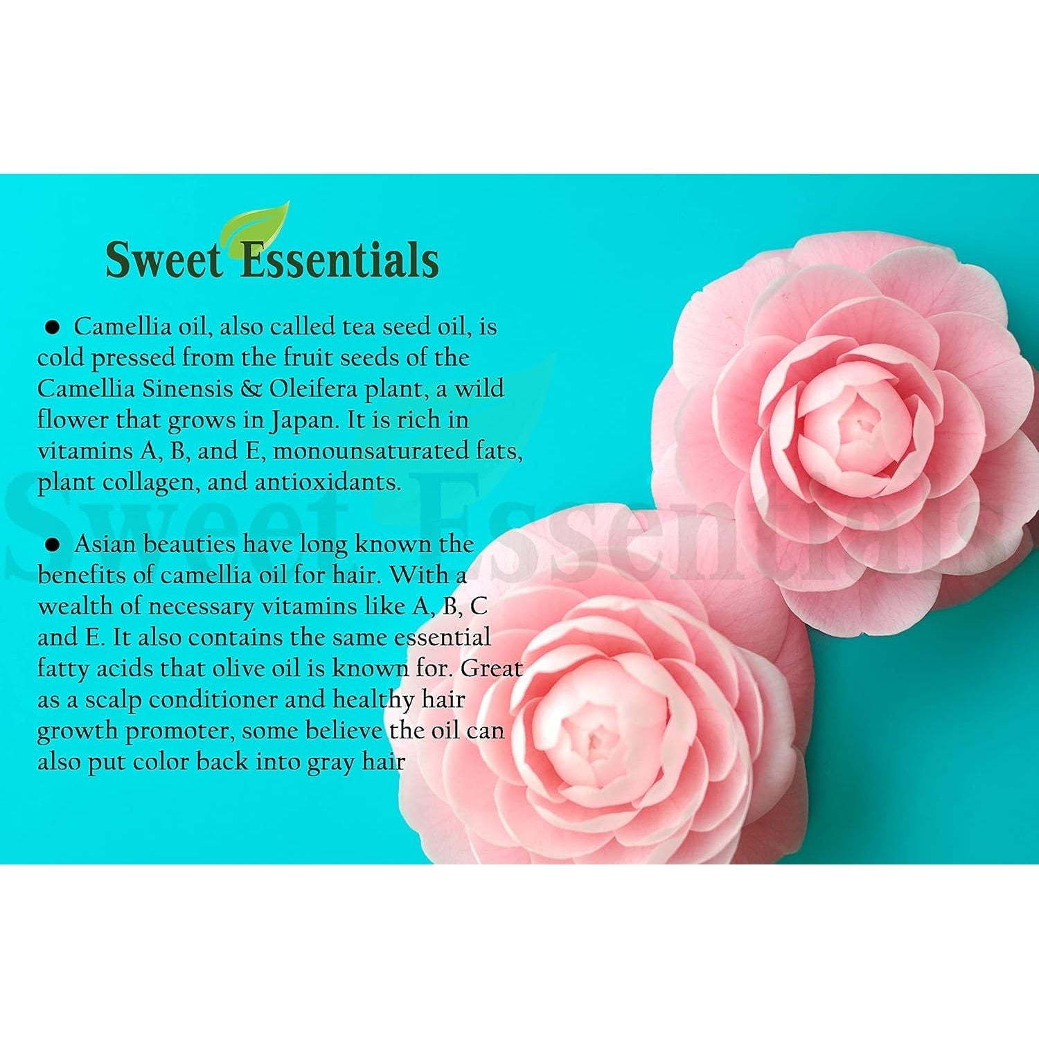 Buy now Sweet Essentials Organic Camellia Seed Oil | Imported From Japan | 4oz Bottle | 100% Pure | 100% Organic | For Hair & Skin Use | Japanese Beauty Oil | Camellia Oleifera at indiglob india