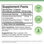 Rhodiola Rosea 500mg, Standardized, Stress, Focus + Energy, 120 Capsules | Stress, Focus + Energy Supplement, Verified Rosavin/Salidroside Ratio, Calm Energy (No Jitters), Vegan, 4-Month Supply