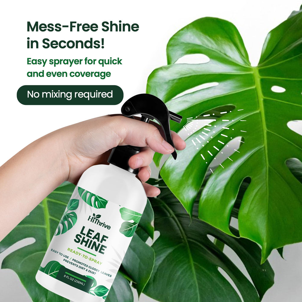 Leaf Shine Spray for Indoor Plants, Ready to Use Mist, 8oz