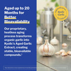 Kyolic Age Cardiovascular & Immune* Formula 200 (Reserve), 60 Capsules | High Potency Reserve Formula Aged Garlic Extract to Support Overall Heart Health, Circulation and Immune System, GMO-Free