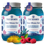 Buy now TrueSeaMoss Sea Moss Gel – Made in USA – Wildcrafted Seamoss, Fruits & Jarred Vegetables – Pineapple, Pack of 1 (Labels may Vary) at indiglob india
