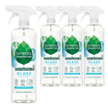 Buy now Seventh Generation Glass Cleaner, Biodegradable Formula, Sparkling Seaside Scent, 23 oz (Pack of 4) at indiglob india