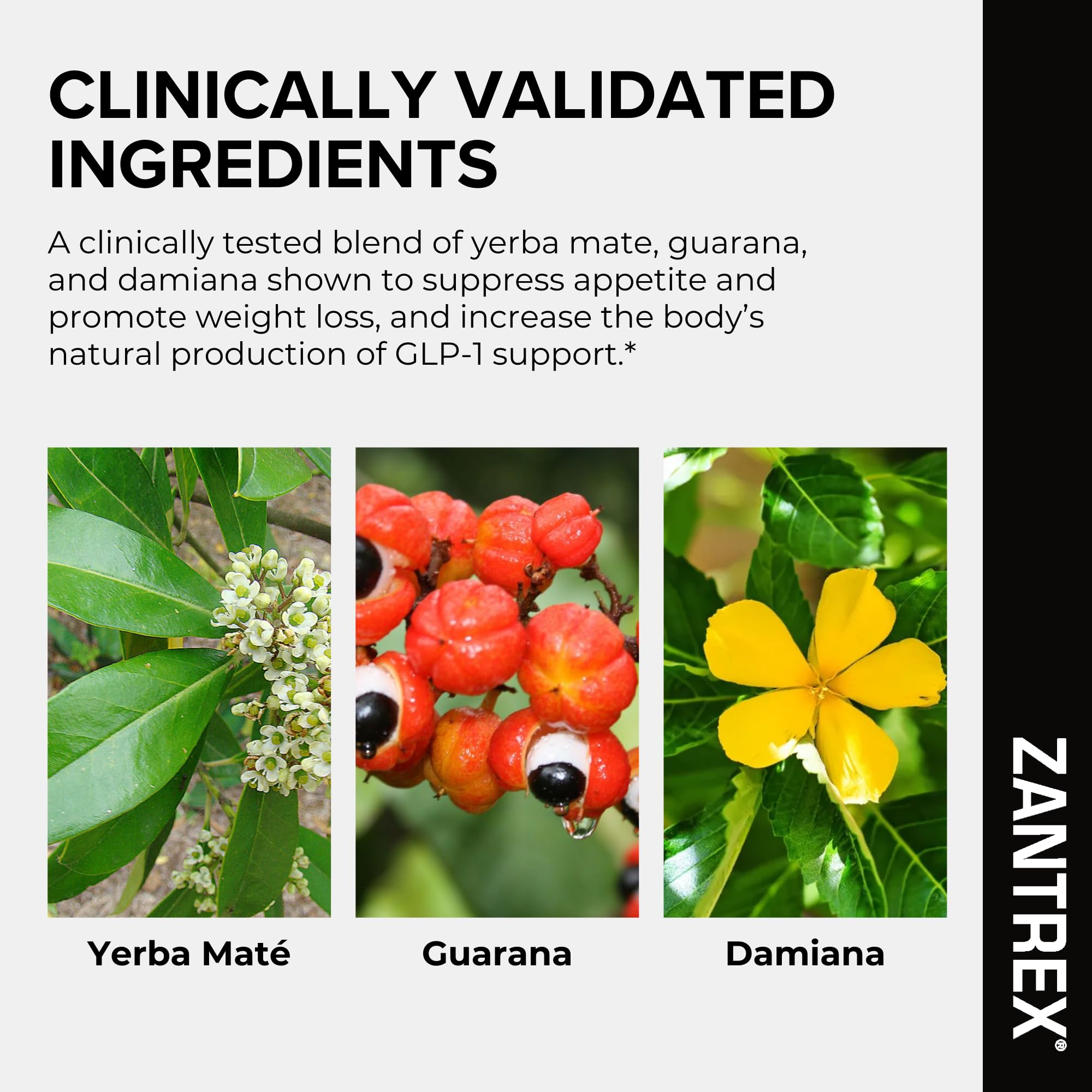 Zantrex Black – Naturally Boost GLP-1 & Metabolism Support | Thermogenic Energy, Weight Management Formula | 60 Pills