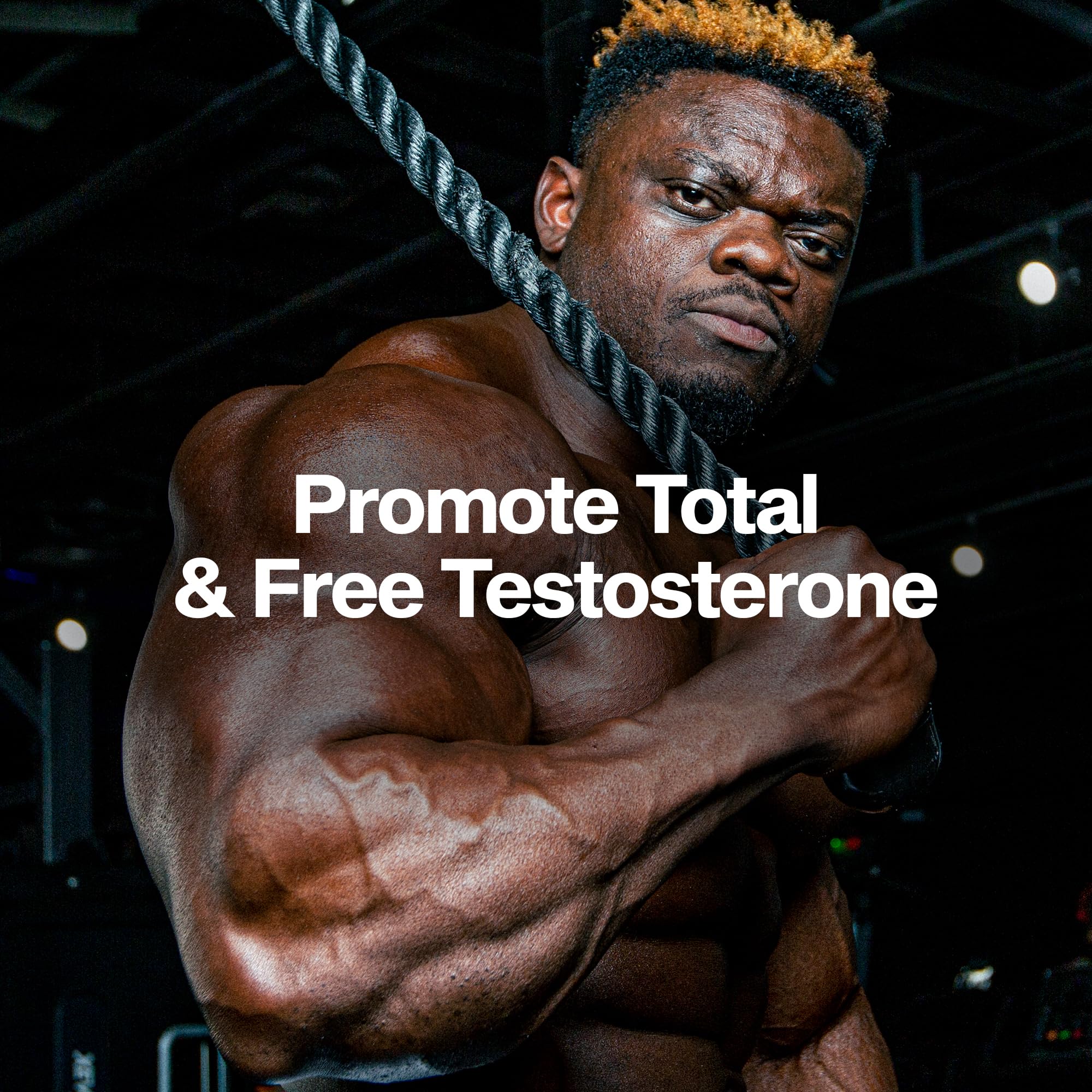 Buy now MuscleTech Testosterone Booster for Men, AlphaTest (150 Capsules) - Workout Testosterone Supplement for Men - Sports Nutrition Testosterone Booster for Endurance, Strength & Muscle Builder at indiglob india