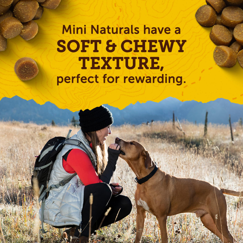 Zuke’s Mini Naturals Dog Training Treats for Dogs, Pet Treats Made with Real Chicken, 16 oz