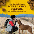 Zuke’s Mini Naturals Dog Training Treats for Dogs, Pet Treats Made with Real Chicken, 16 oz