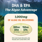 Vegan Omega 3 Algae Oil, Plant Based DHA EPA, Sustainably Sourced, Non-GMO | Carrageenan-Free, Heart Brain & Eye Health Support, Fish Oil Alternative, Omega 3 Fatty Acid Supplements, 60 Vegan Softgels