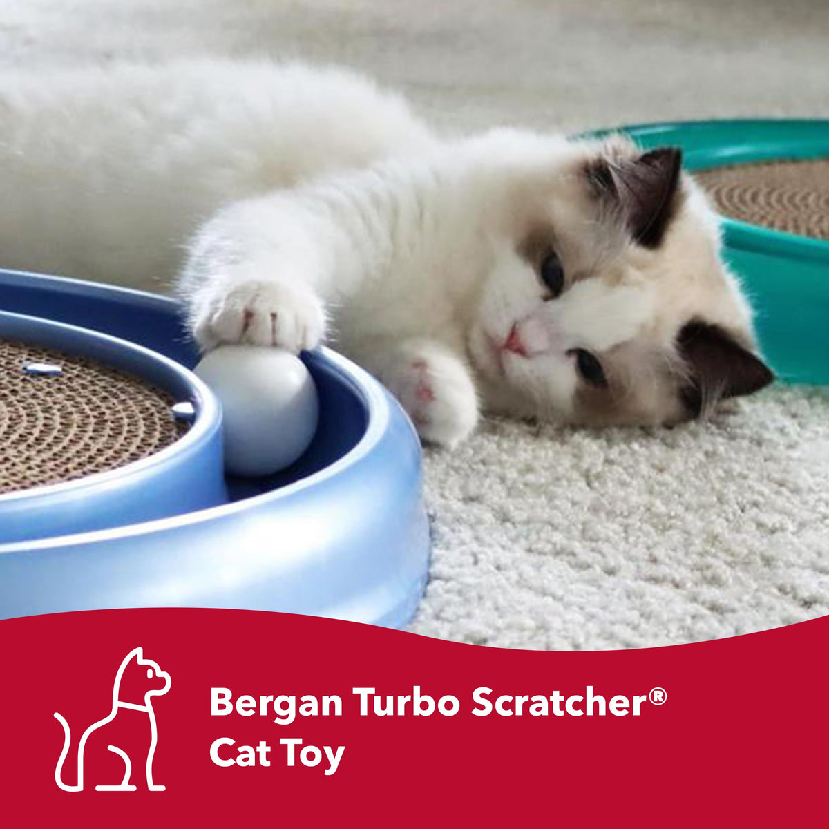 Coastal Pet Turbo Scratcher Cat Toy - Cardboard Cat Scratcher Pad with Cat Toy Ball Track and Catnip (1 Pack)