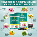 Lymphatic Drainage Supplements, 4275mg Lymph System Support for Immune