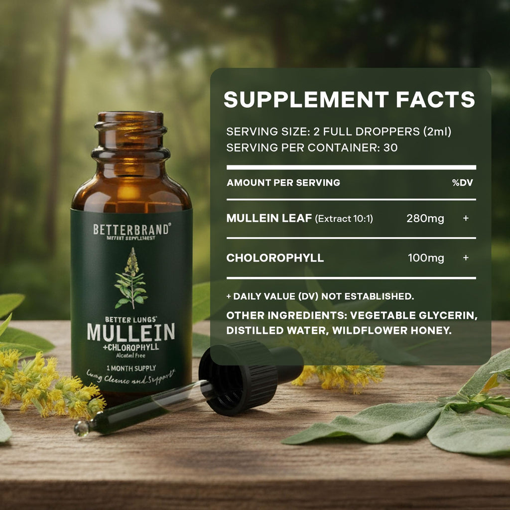 Betterbrand Mullein Drops, Alchohol-Free Lung Detox with Chlorophyll | 30:1 Mullein Leaf Tincture, Lung Cleanse, Long-Term Lung & Respiratory Health, Mullein Drops Supplement, Improved Airflow