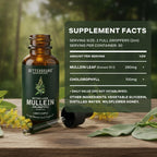 Betterbrand Mullein Drops, Alchohol-Free Lung Detox with Chlorophyll | 30:1 Mullein Leaf Tincture, Lung Cleanse, Long-Term Lung & Respiratory Health, Mullein Drops Supplement, Improved Airflow