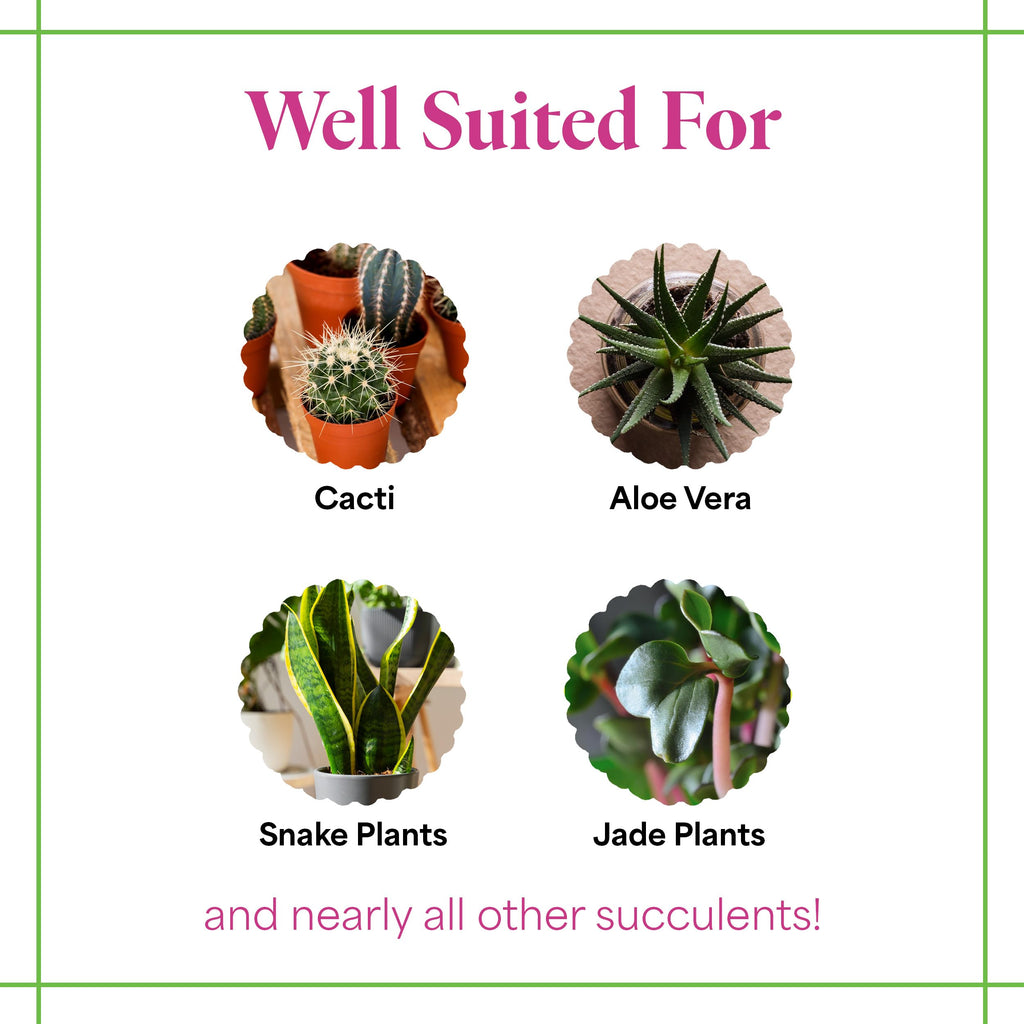 Grow More Cactus Juice (1-7-6) - 16oz of Succulent Fertilizer - Cactus Food for Growth & Root Development - Calcium-Rich Fertilizer for Succulents, Cacti, Snake Plants, & More