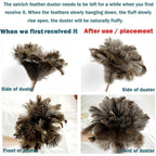 Buy now Feather Duster, Feather Dusters for Cleaning Ddzmz Fluffy Natural Genuine Ostrich Feathers with Wooden Handle Reusable Handheld Ostrich Feather Duster Cleaning Supplies, Gray and Brown(Length 16") at indiglob india