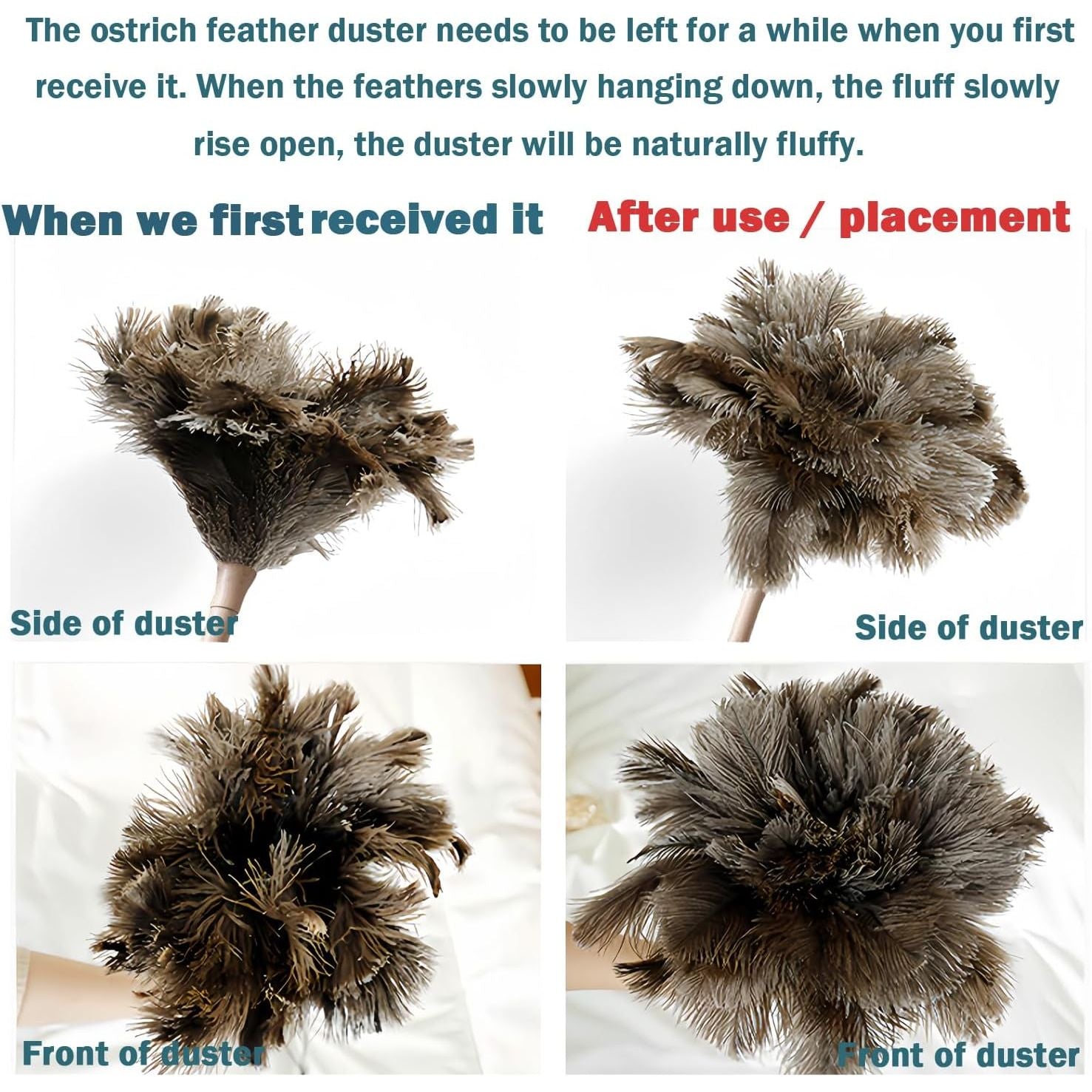 Buy now Feather Duster, Feather Dusters for Cleaning Ddzmz Fluffy Natural Genuine Ostrich Feathers with Wooden Handle Reusable Handheld Ostrich Feather Duster Cleaning Supplies, Gray and Brown(Length 16") at indiglob india