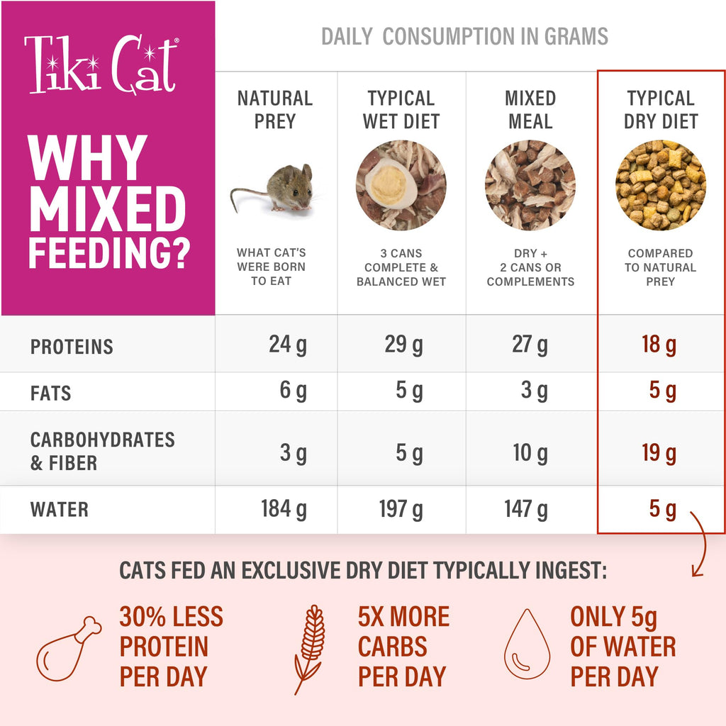 Tiki Cat Born Carnivore Broths Wet Cat Food Topper, Chicken