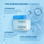 POND'S Fresh Hydration Gel Moisturizer – 24 HR Hydration with Vitamin E, Hyaluronic Acid & Vitamin B3 – Alcohol & Oil-Free Face Moisturizer – Dermatologist Tested, 3.4 oz, (Pack of 2)