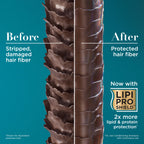 OGX Nourishing + Coconut Milk Shampoo & Conditioner Set, 2 x 13 fl. oz | Hydrates & Softens Hair, Lipi Pro Shield Technology, Creamy Coconut Milk, White Peach & Shea Butter Scent