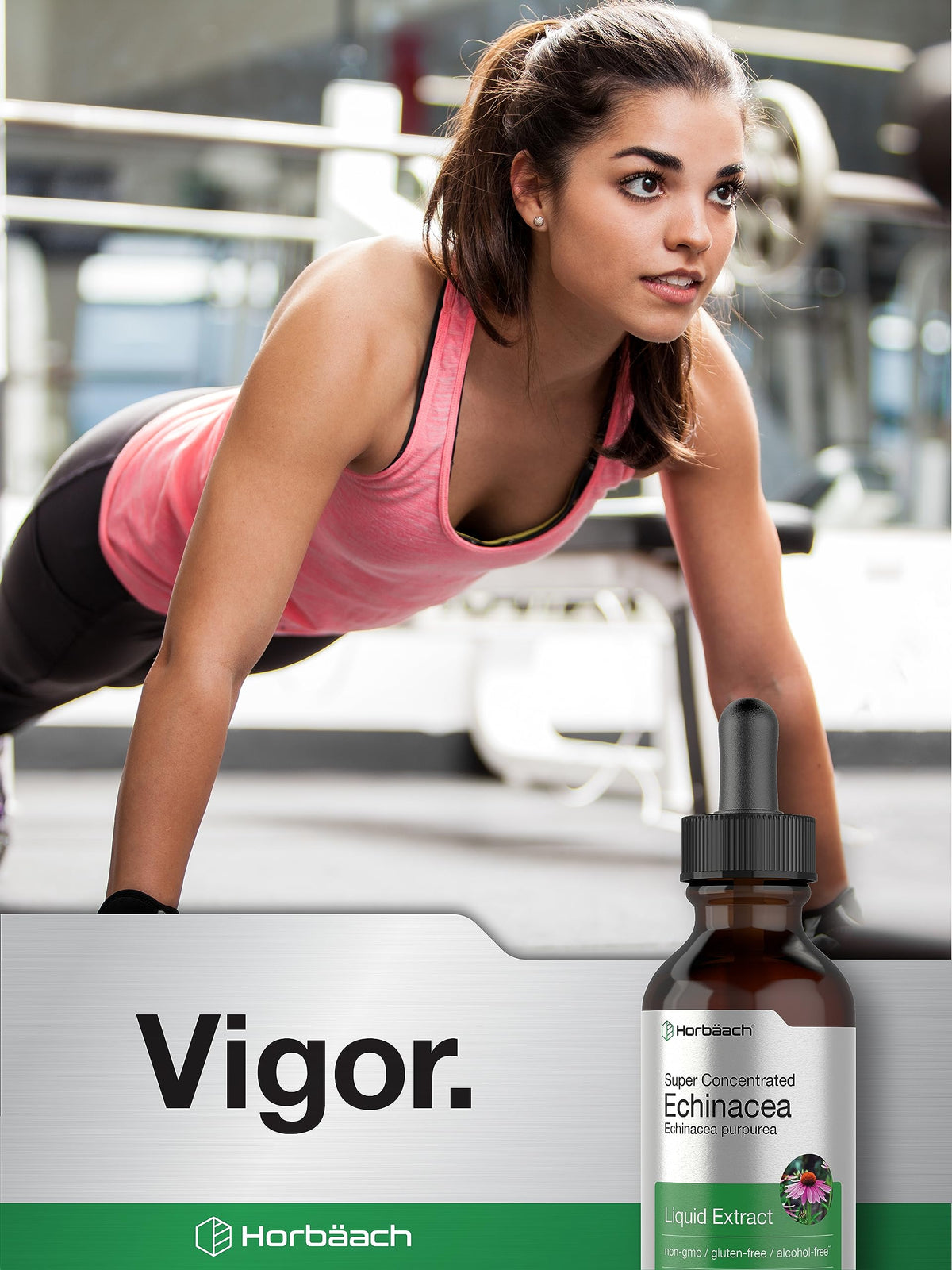 Horbaach Echinacea Drops Herb Tincture | 2 fl oz