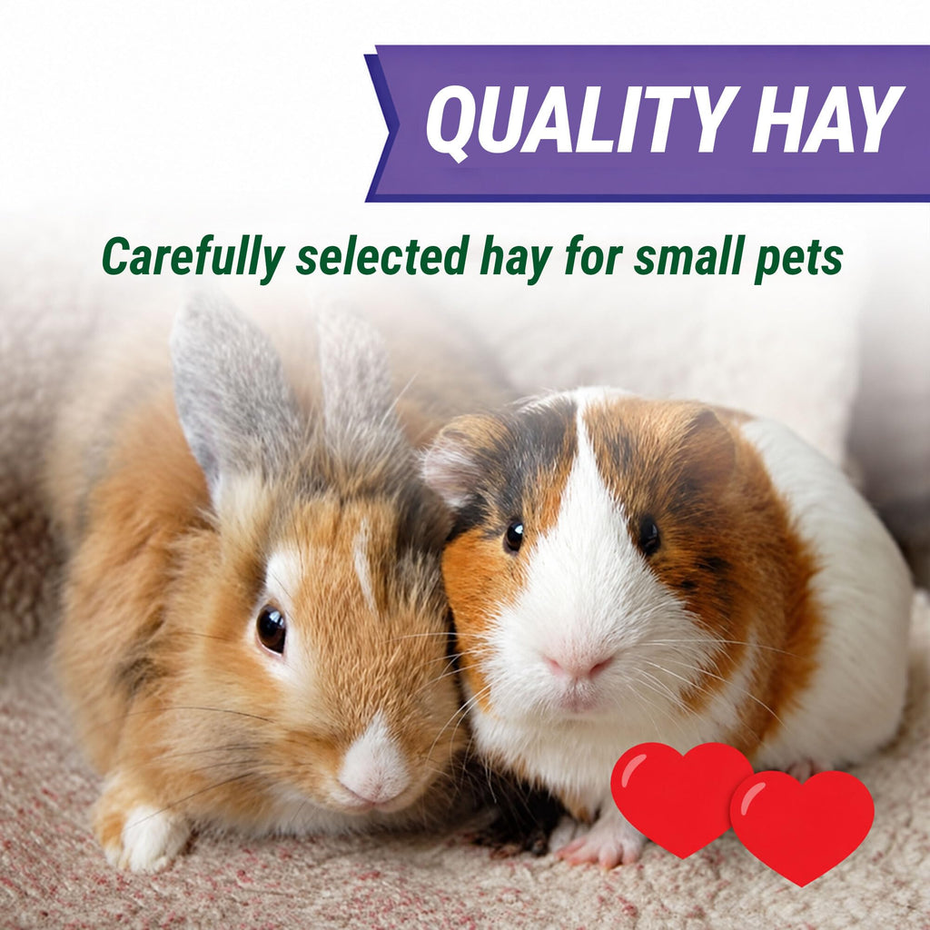 Small Pet Select Value Choice Timothy Hay, Rabbits & Guinea Pigs, 8 lb