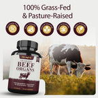 Grass-Fed Beef Organ - Liver, Heart, Kidney, Pancreas, Spleen & Bone Marrow