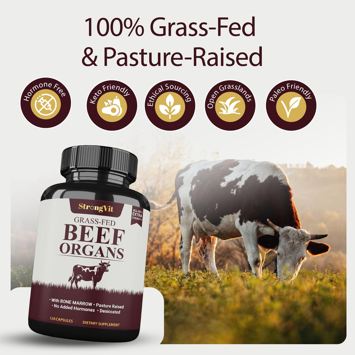 Grass-Fed Beef Organ - Liver, Heart, Kidney, Pancreas, Spleen & Bone Marrow