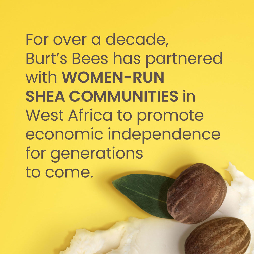 Buy now Burt's Bees Shea + Tropical Fruit Indulgent Hand and Body Butter, Non-Greasy, Antioxidant Rich for Glowing Skin, Non-Irritating, Natural Origin Skin Care, 11 oz. at indiglob india