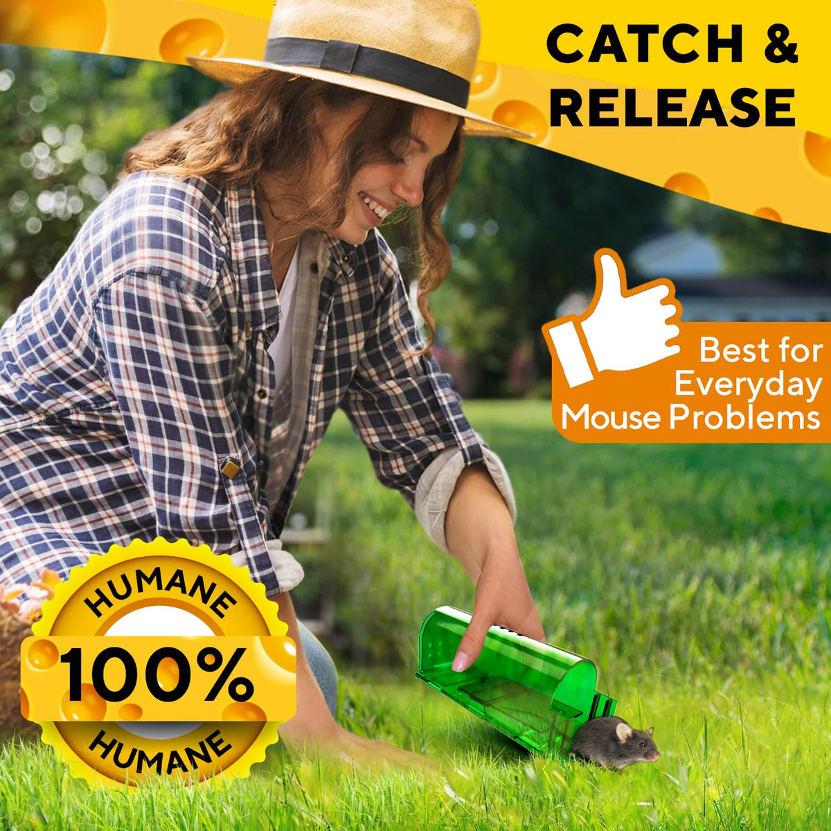 Humane Mouse Trap (2 Pack), Catch and Release Live Mouse Traps, Indoor