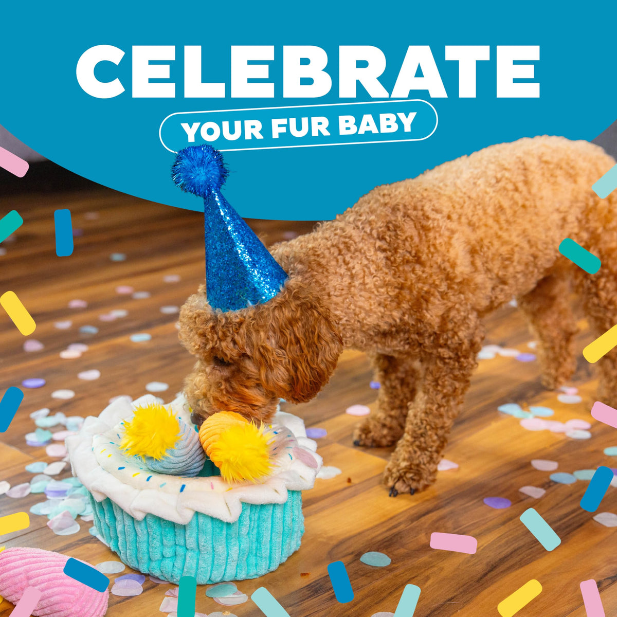 Outward Hound Hide-A-Birthday-Cake Plush Squeaky Dog Toy, 7.5" x 4.7"
