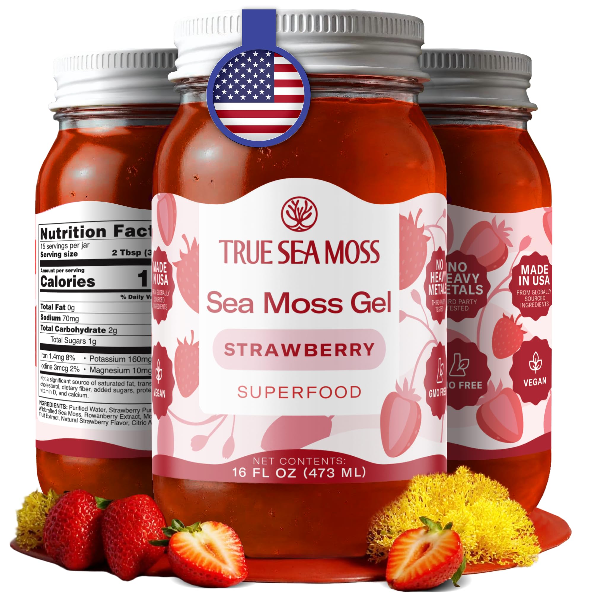 Buy now TrueSeaMoss Sea Moss Gel – Made in USA – Wildcrafted Seamoss, Fruits & Jarred Vegetables – Pineapple, Pack of 1 (Labels may Vary) Strawberry 16 Fl Oz (Pack of 1) at indiglob india