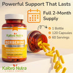 Kaibro Nutra Berberine HCL Supplement 1000mg | Immune System Support