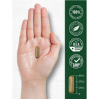Carlyle Dandelion Root Extract | 300 Capsules | Herb Supplement