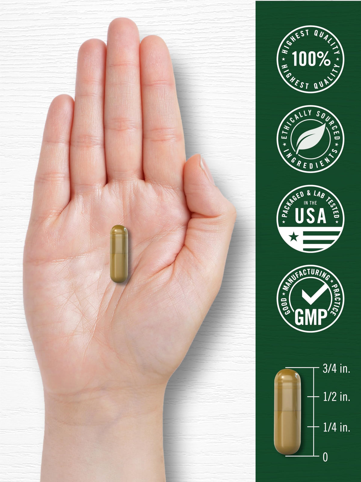 Carlyle Dandelion Root Extract | 300 Capsules | Herb Supplement