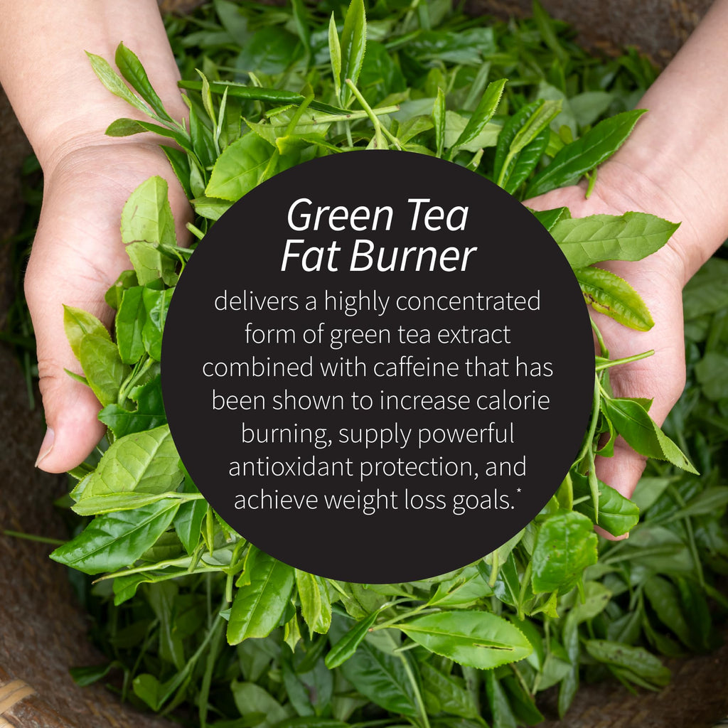 Applied Nutrition Green Tea Fat Burner Weight Loss 90 Softgels (2 Pack) | Green Tea Extract with EGCG + Green Coffee Bean | Supports Calorie Burn Energy & Antioxidant Support | 2X90 Liquid Soft-Gels