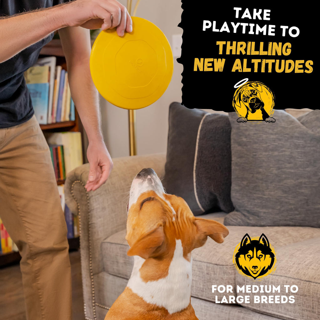 "Indestructible Dog Disc - Lifetime Replacement - Medium & Large Breed - Ultra Durable for Aggressive Chewers - Tough & Strong, Heavy Duty Natural Rubber Toy - Fetch, Tug, & Chew - 8in
