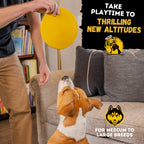 "Indestructible Dog Disc - Lifetime Replacement - Medium & Large Breed - Ultra Durable for Aggressive Chewers - Tough & Strong, Heavy Duty Natural Rubber Toy - Fetch, Tug, & Chew - 8in