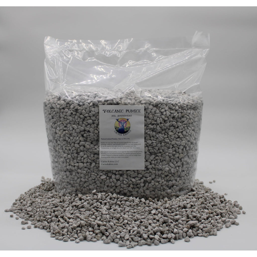 Horticultural Pumice - 14 Dry quarts - Cactus Succulent Soil Amendment